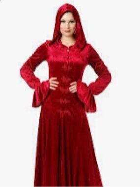 Charades Wine Red Twilight Hooded Dress Gothic Vampire Adult Small Costume Sz S